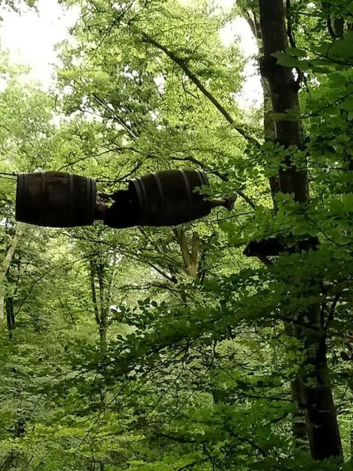 Le Mimosa, Maison De Vacances Trans-la-Foret Екстер'єр фото